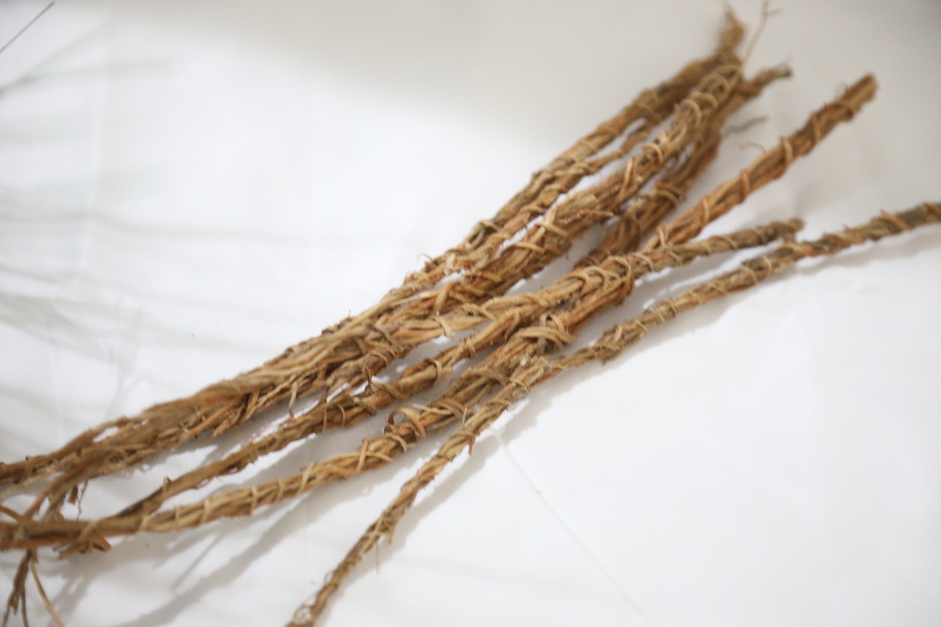Gongolili Vetiver/ Rène/ Roots for water ( 5 Branch)